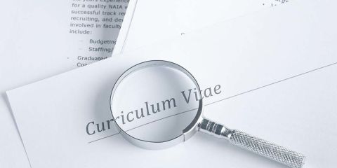 curriculum vitae empleo trabajo