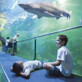  Ideas divertidas para pasártelo pirata con los niños sin irte muy lejos.