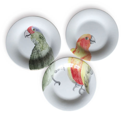 vajilla, acuarela, periquitos, Nuria Blanco,